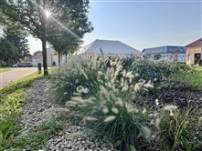 Park na Námestí sv. Ignáca